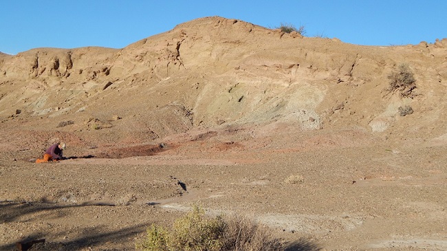 Cristian Sancho trabajando en los afloramientos de la Formación Ischigualasto en el Cerro Bola, provincia de La Rioja.